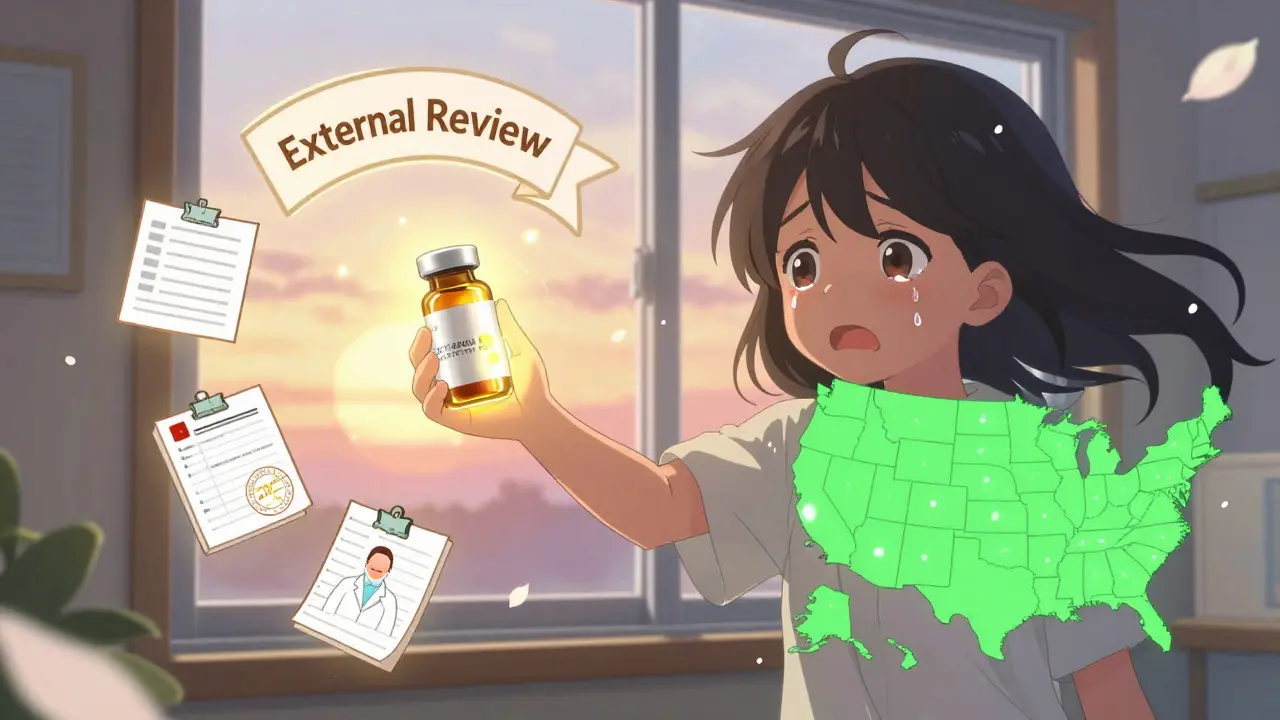 A person receiving approval for a brand medication after a successful appeal, with symbolic icons of evidence and hope.